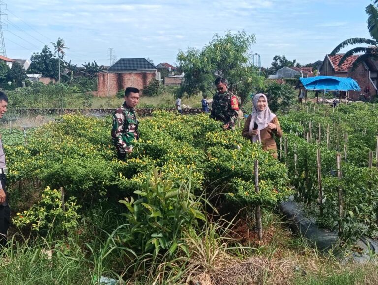 1A742D62-84CB-489E-9749-54A10B95C5E2